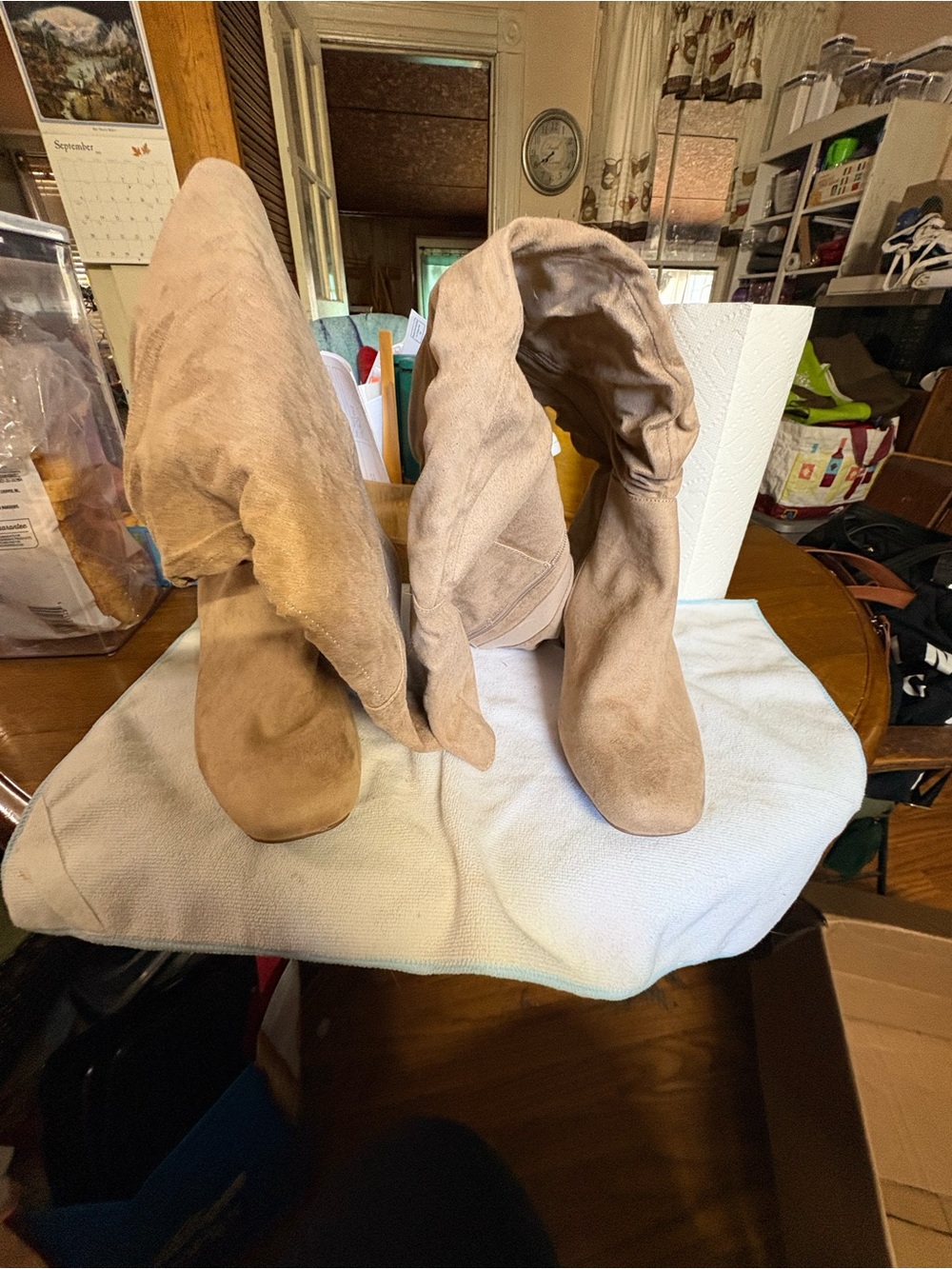 Lane Bryant Beige Suede Over-the-Knee Slouch Boots